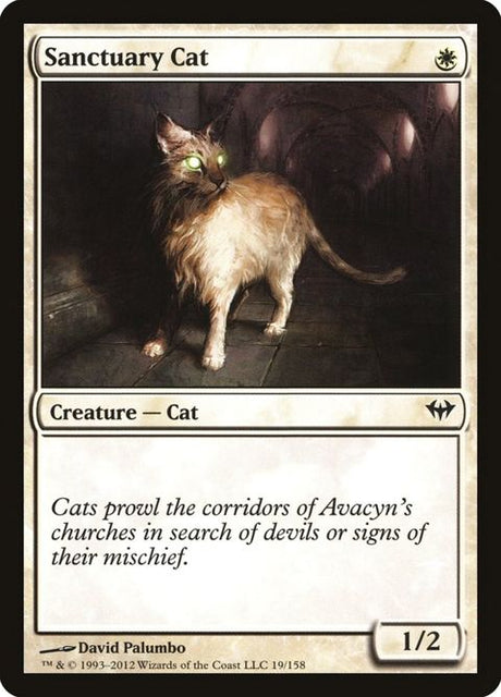 19-sanctuarycat