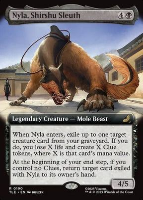 190-nylashirshusleuth