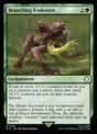 195-branchingevolution