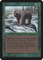 199-grizzlybears