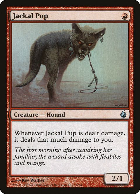 2-jackalpup