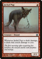 2-jackalpup