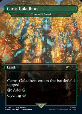 2-tranquilthicket