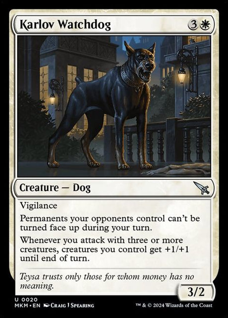 20-karlovwatchdog
