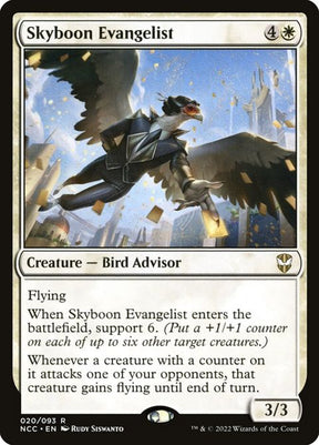 20-skyboonevangelist