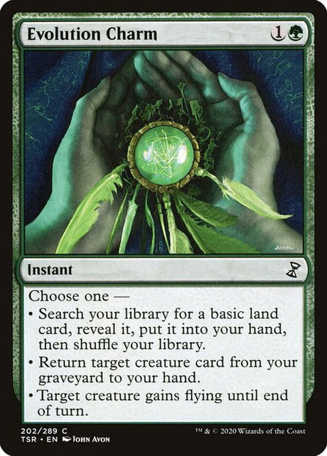 202-evolutioncharm
