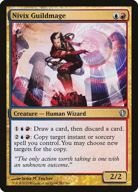 202-nivixguildmage