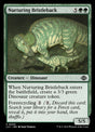 203-nurturingbristleback