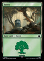 204-forest