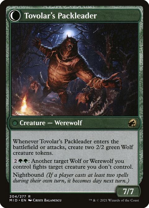 204-tovolarshuntmastertovolarspackleader-b