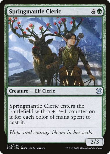 205-springmantlecleric