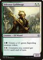 206-selesnyaguildmage