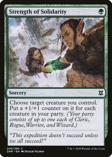 206-strengthofsolidarity