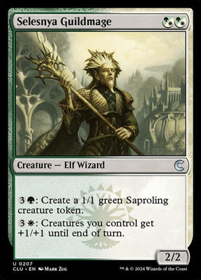 207-selesnyaguildmage