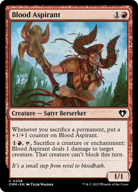 208-bloodaspirant