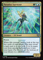 208-paradoxsurveyor