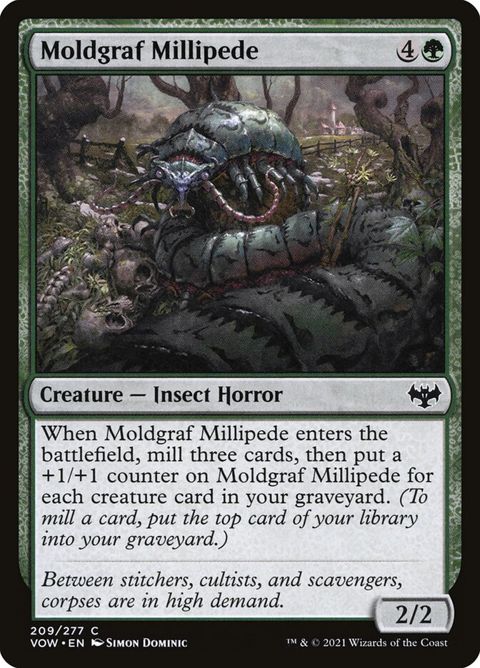 209-moldgrafmillipede