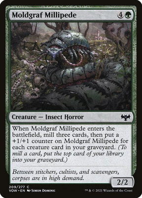 209-moldgrafmillipede