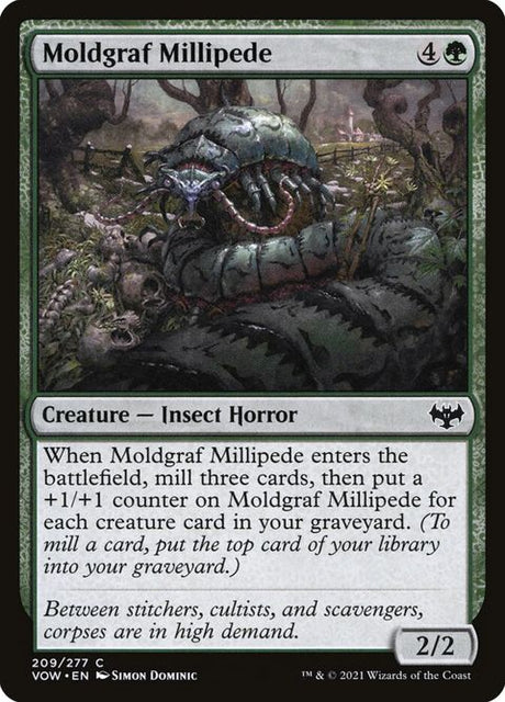 209-moldgrafmillipede