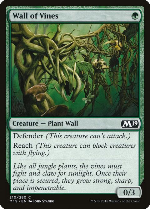 210-wallofvines