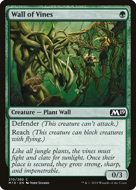 210-wallofvines