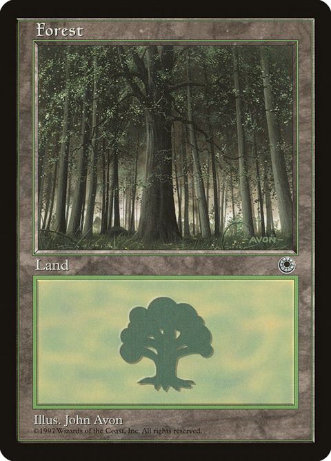 212-forest