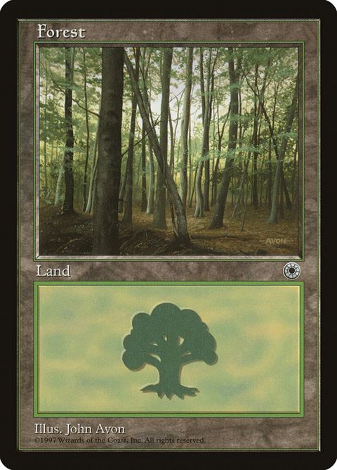213-forest