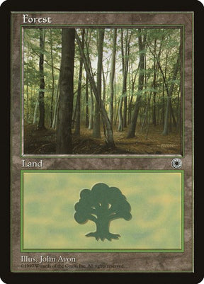 213-forest