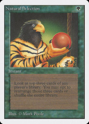 213-naturalselection