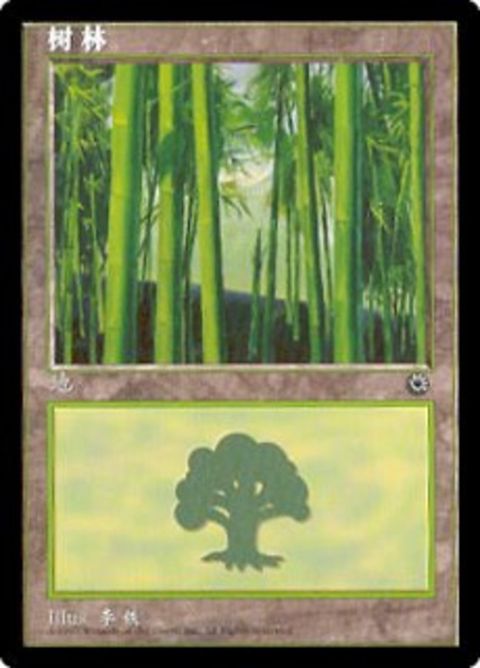 213s-forest