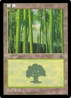 213s-forest