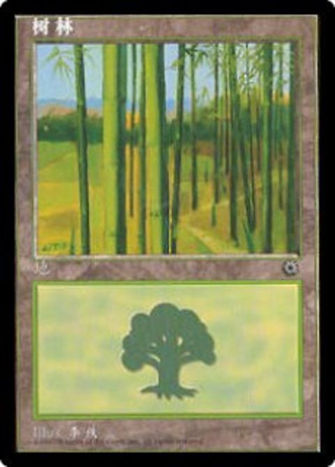 215s-forest