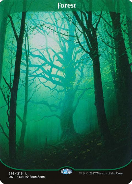 216-forest
