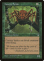 217-canopyspider