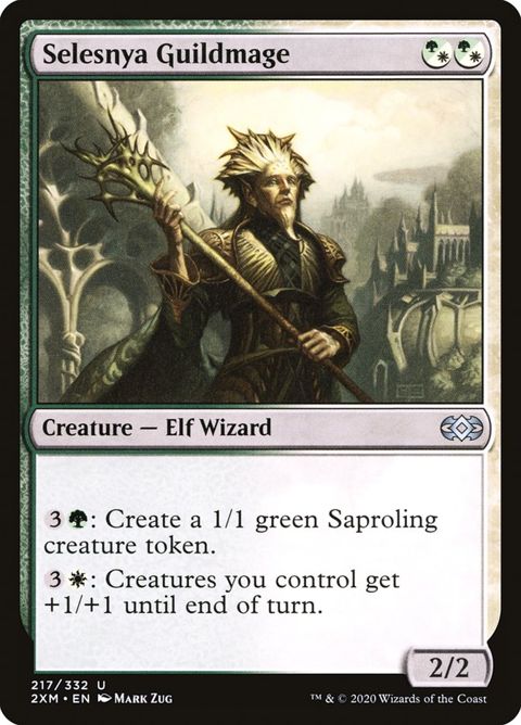 217-selesnyaguildmage