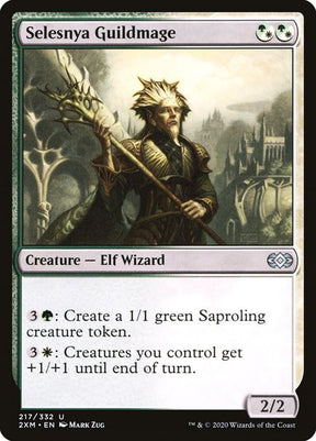 217-selesnyaguildmage