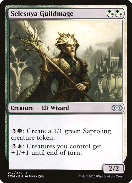 217-selesnyaguildmage