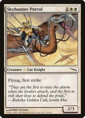 22-skyhunterpatrol
