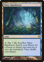 220-mistyrainforest