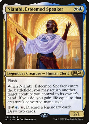 222p-niambiesteemedspeaker