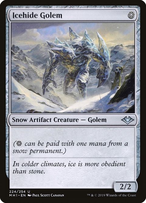 224-icehidegolem