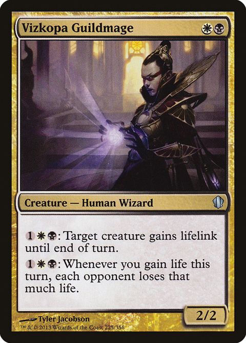 225-vizkopaguildmage