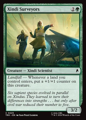 225-xindisurveyors