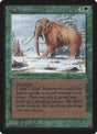 228-warmammoth