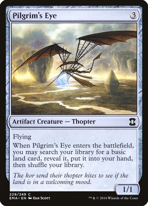 229-pilgrimseye