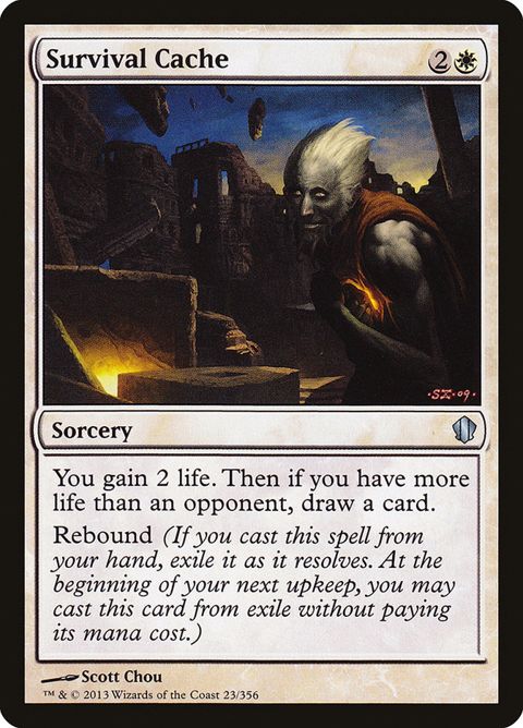 23-survivalcache