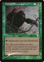 230-ancientsilverback