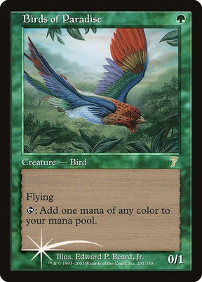231-birdsofparadise