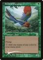 231-birdsofparadise