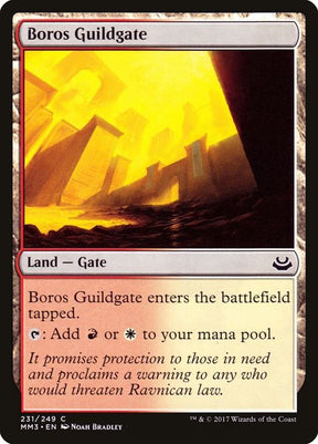 231-borosguildgate